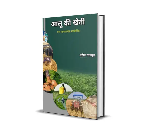 आलू की खेती एक व्यावसायिक मार्गदर्शिका