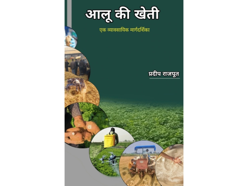 आलू की खेती