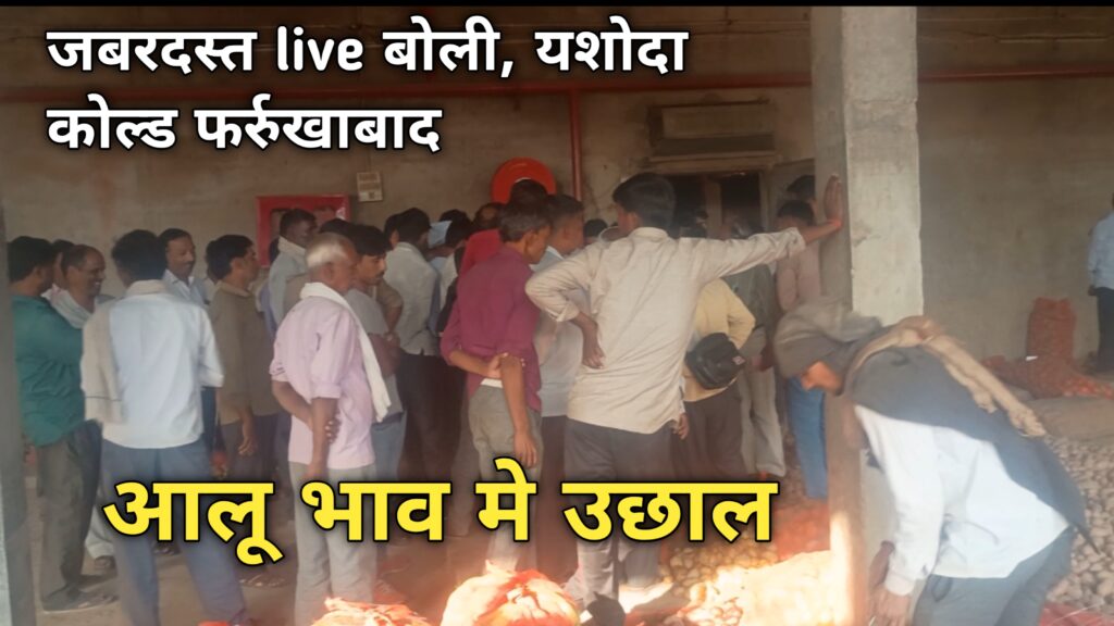 कोल्ड स्टोरेज में आलू की बोली लग रही है