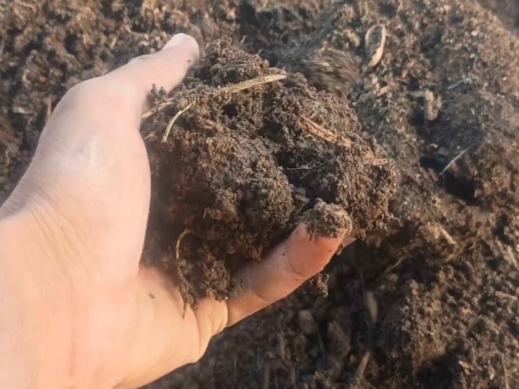 गोवर खाद 
