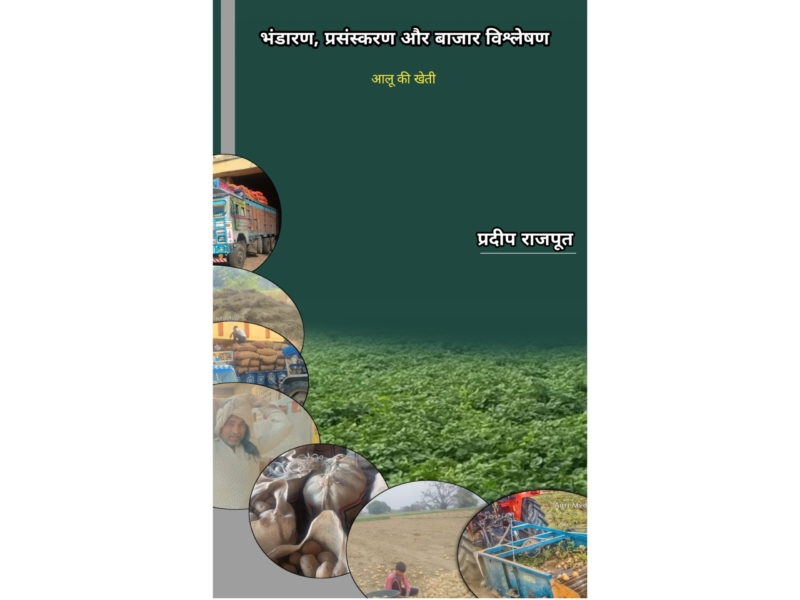 आलू का भण्डारण