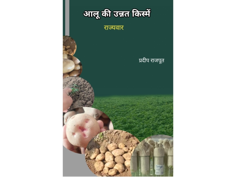 आलू की उन्नत किस्में