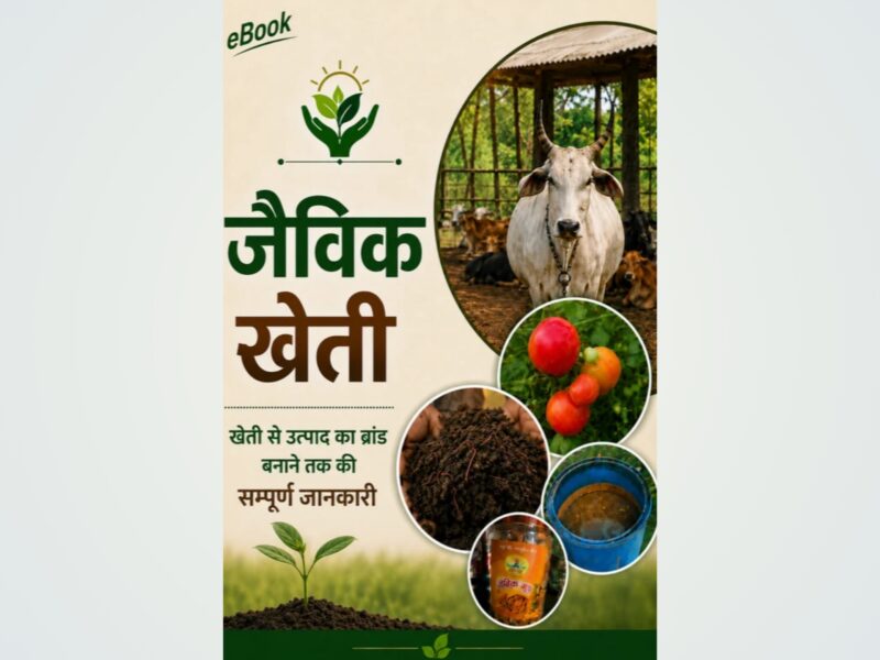 Oraganic Farming