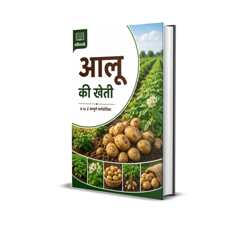 CROP FARMING