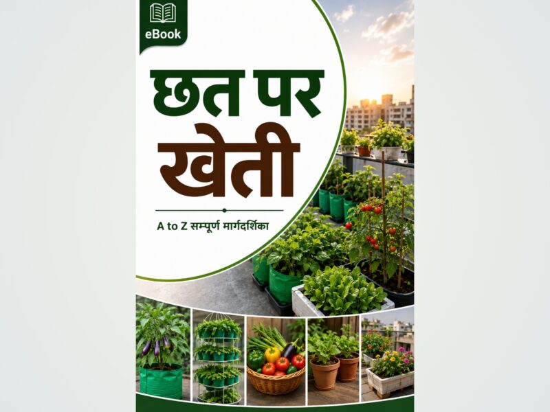 Terrace Farming